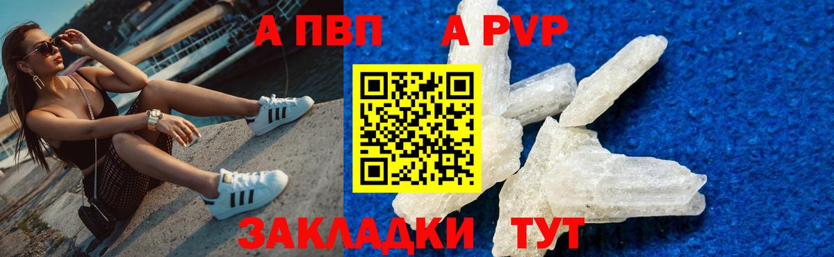 A-PVP СК Бийск