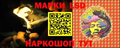 шишки Аргун