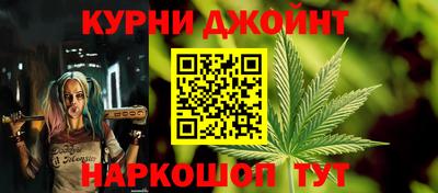 шишки Аргун