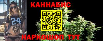 шишки Аргун