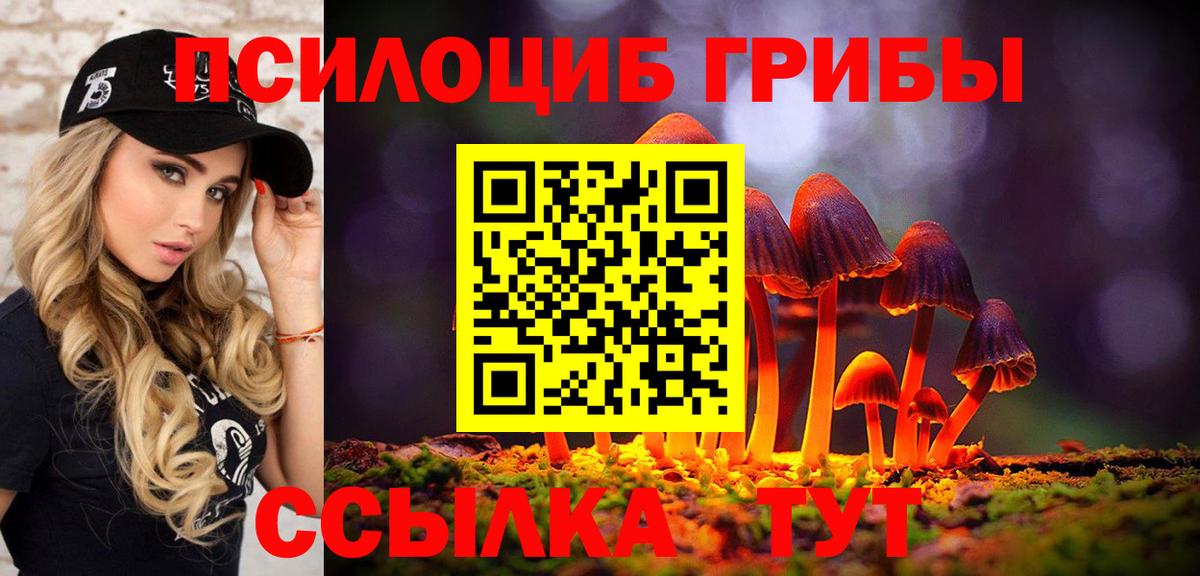 Галлюциногенные грибы прущие грибы Бийск